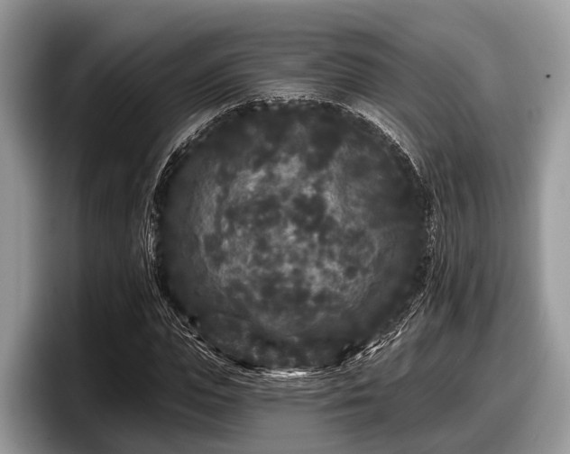 X0000097870823200803211312