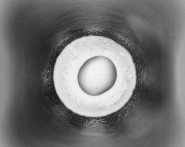 X0000097870824200803211312