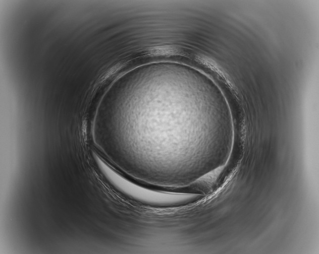 X0000097870825200803211312