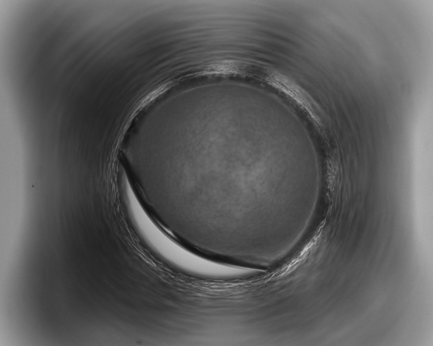 X0000097870826200803211312