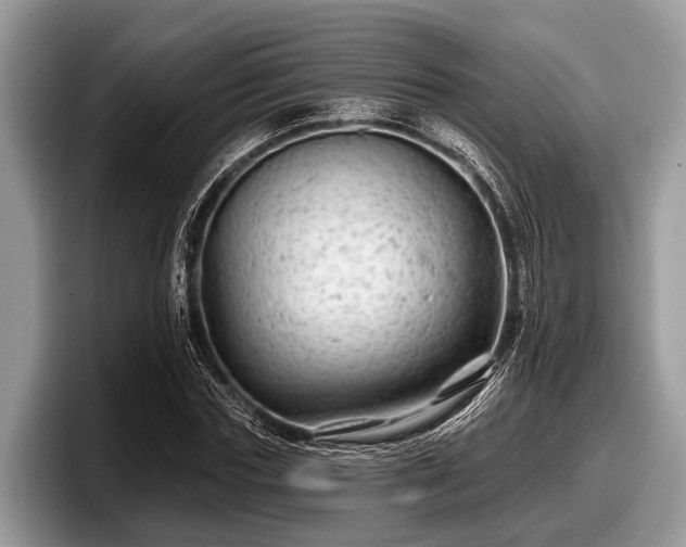 X0000097870827200803211312