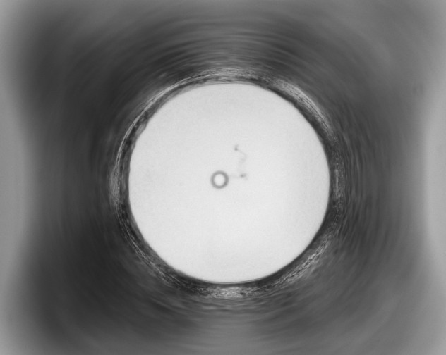 X0000097870828200803211312