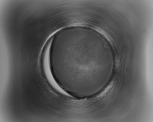 X0000097870830200803211312