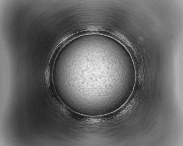X0000097870831200803211312