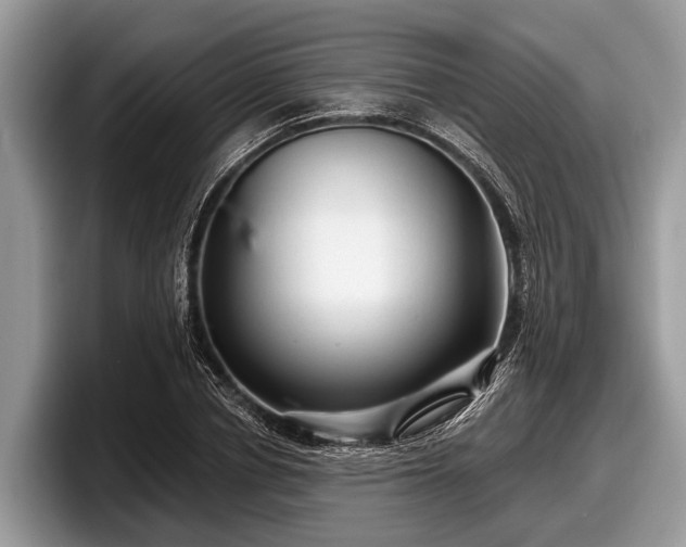 X0000097870834200803211312