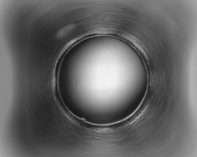 X0000097870837200803211312