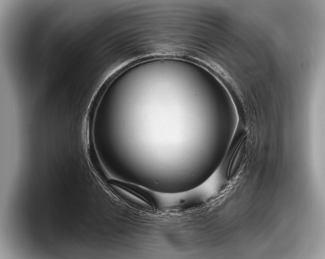 X0000097870838200803211312