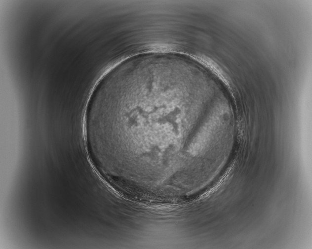 X0000097870839200803211312