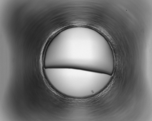 X0000097870840200803211312