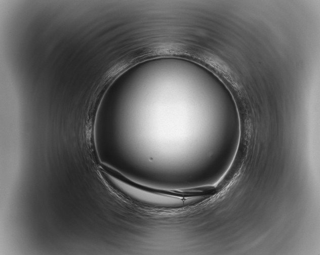 X0000097870841200803211312