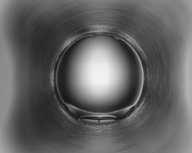 X0000097870842200803211312