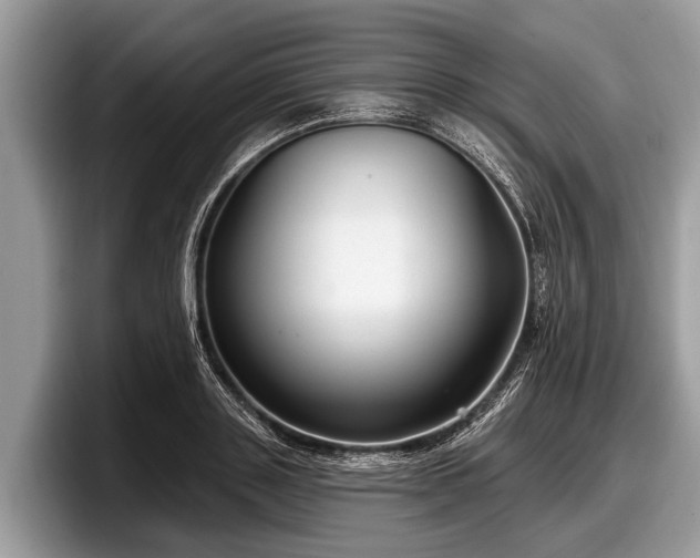 X0000097870843200803211312