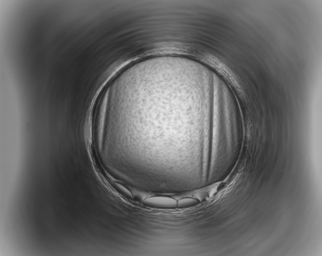 X0000097870844200803211313