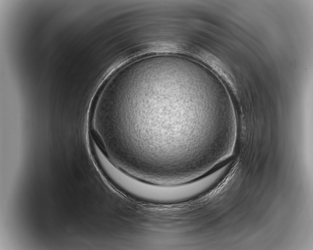X0000097870845200803211313