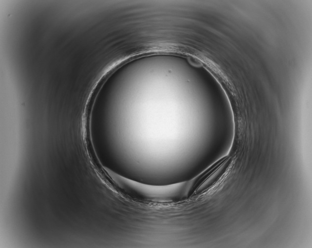 X0000097870846200803211313