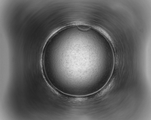 X0000097870847200803211313