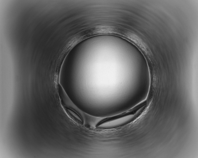 X0000097870849200803211313