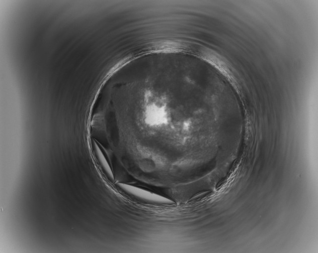X0000097870850200803211313