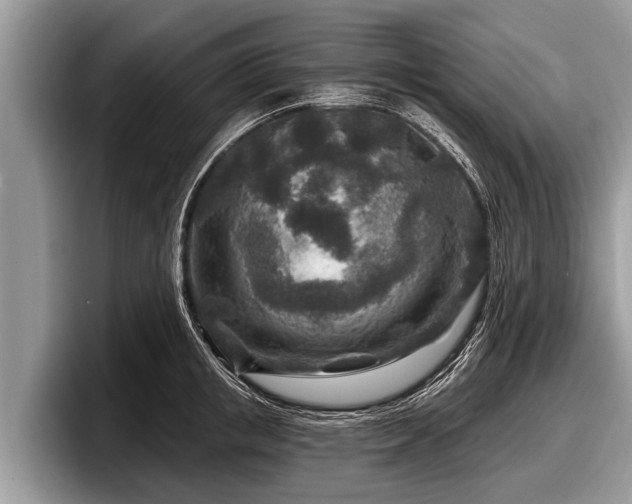 X0000097870853200803211313