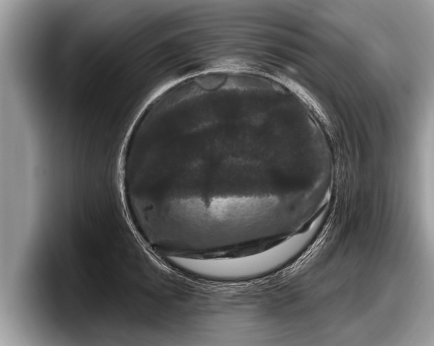 X0000097870854200803211313