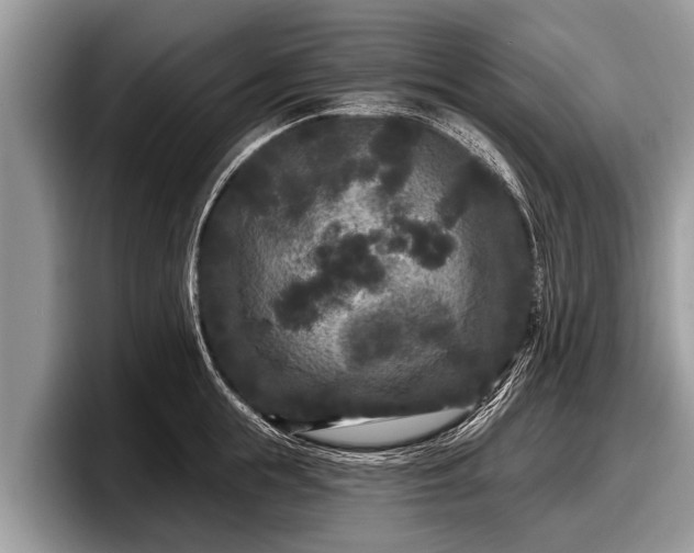 X0000097870855200803211313