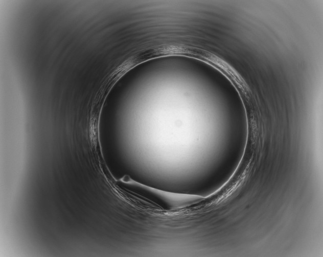 X0000097870857200803211313