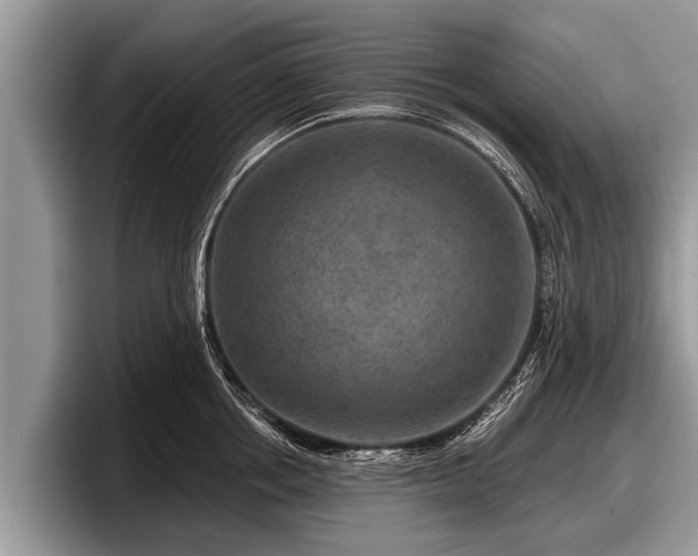 X0000097870858200803211313