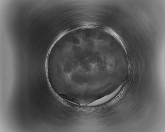 X0000097870859200803211313