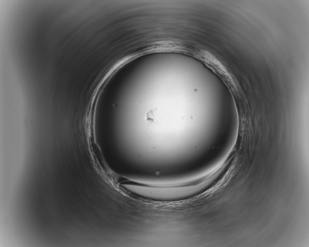 X0000097870860200803211313