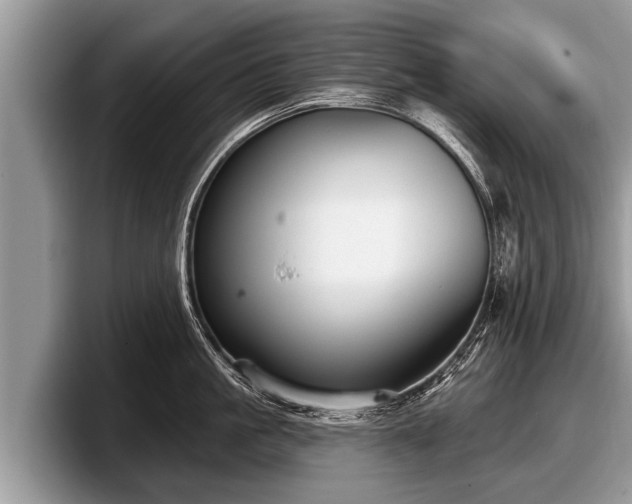 X0000097870861200803211313