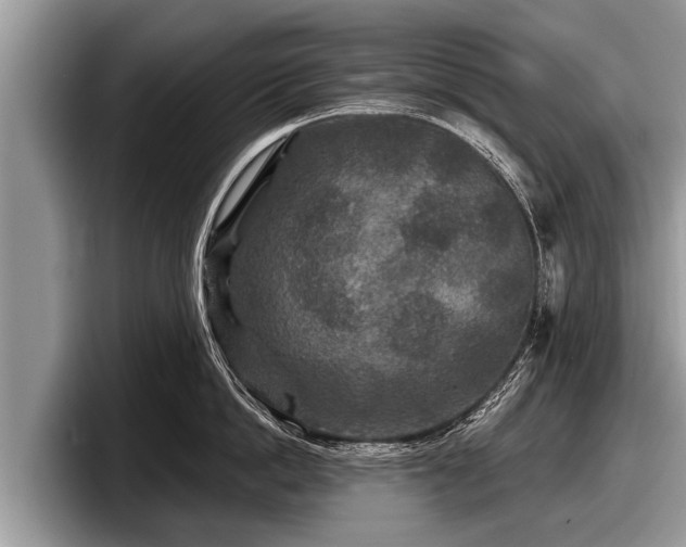 X0000097870862200803211313