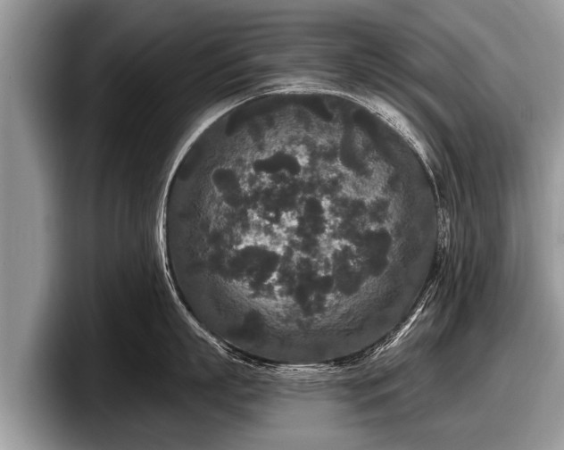 X0000097870863200803211313
