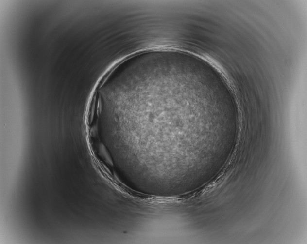 X0000097870864200803211313