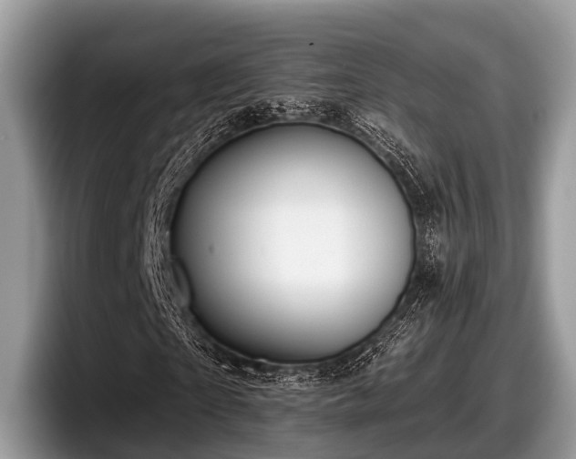 X0000097870865200803211312