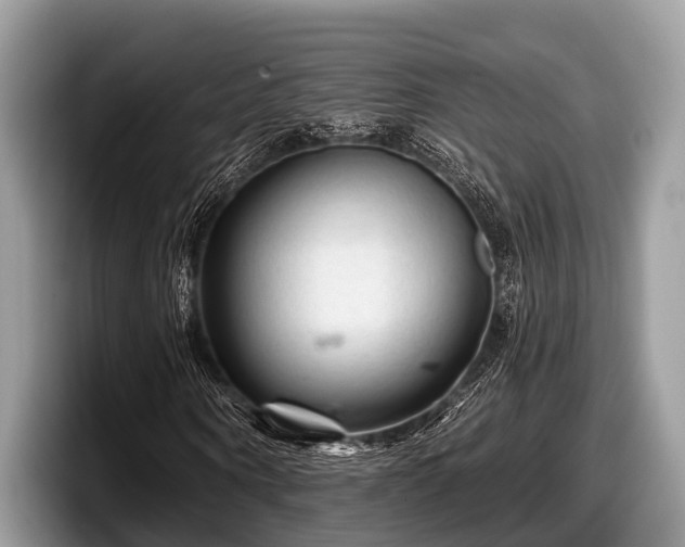 X0000097870866200803211312