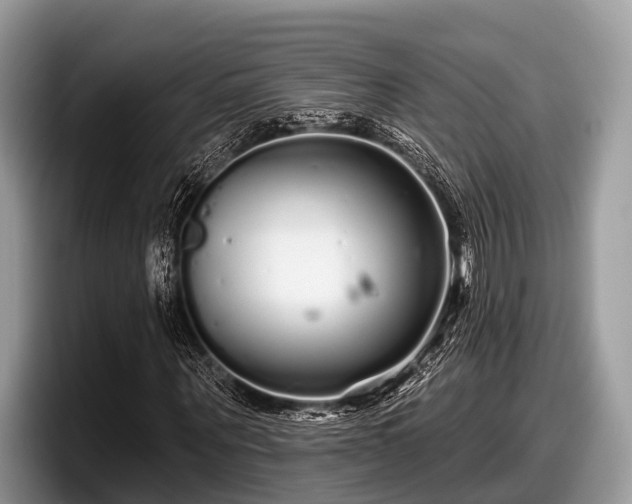 X0000097870867200803211312