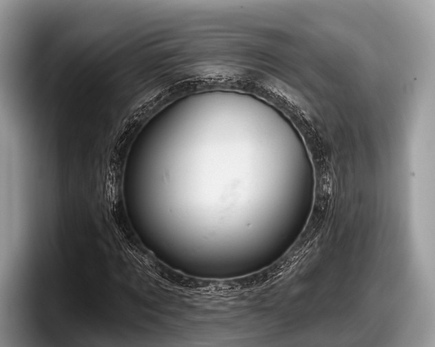 X0000097870869200803211312