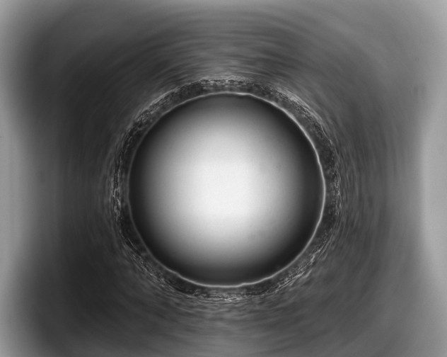 X0000097870870200803211312
