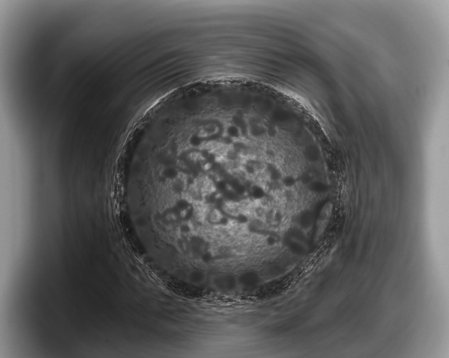 X0000097870871200803211312