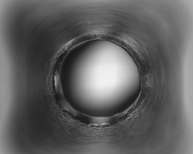 X0000097870872200803211312