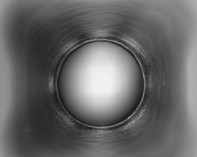 X0000097870873200803211312