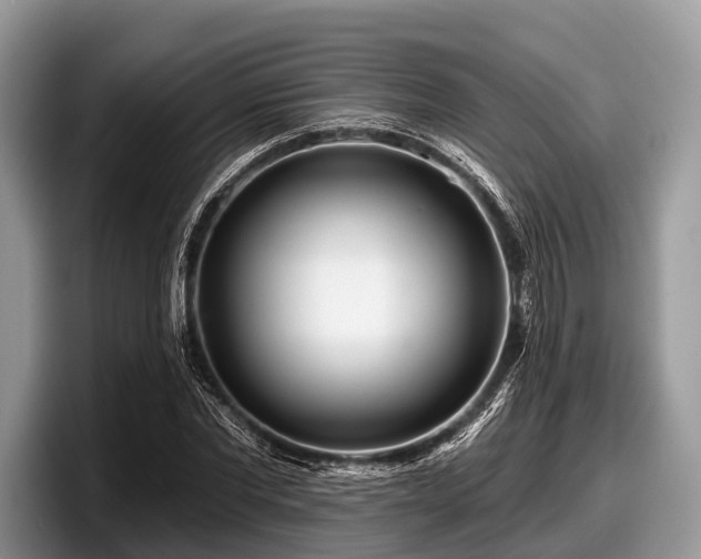 X0000097870877200803211312