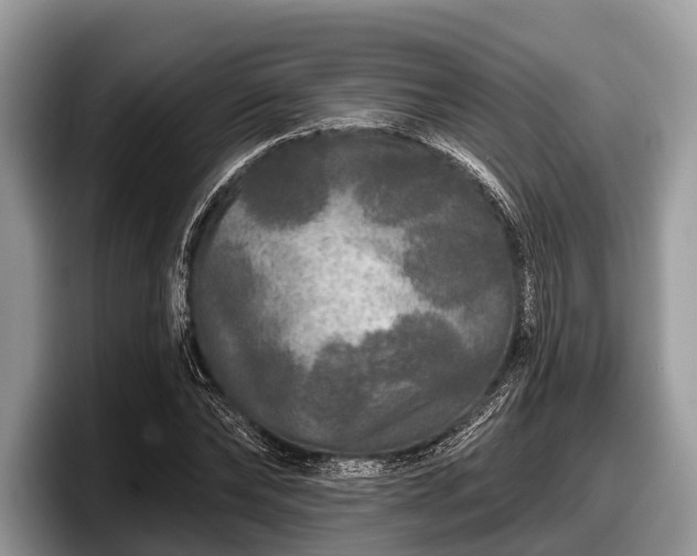 X0000097870878200803211312