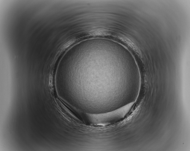 X0000097870881200803211312