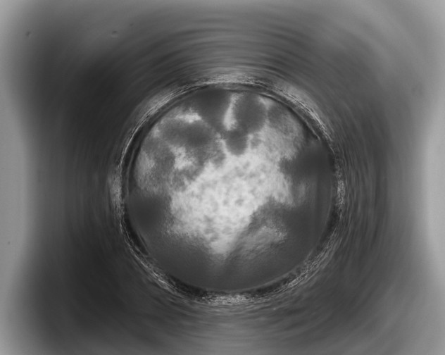 X0000097870882200803211312