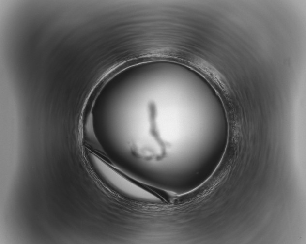 X0000097870884200803211312