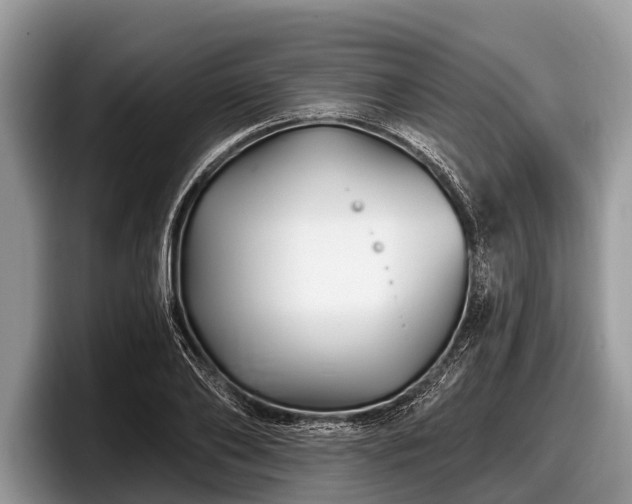 X0000097870886200803211312