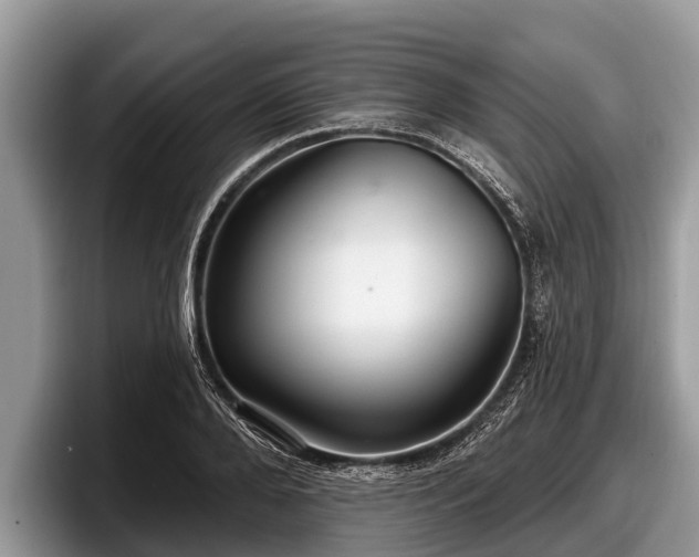 X0000097870888200803211312