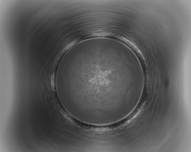 X0000097870889200803211312