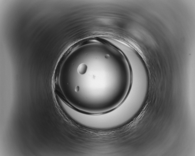 X0000097870891200803211312